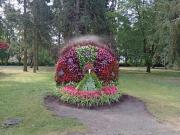 Top Ciechocinek Top Ciechocinek