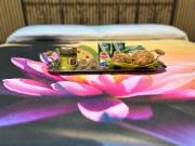 Top Santa Maria a Vico