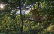 Cabane de la Bannette - Magnifique cabane dans les arbres, vue panoramique