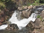 Top Szczawa Top Szczawa