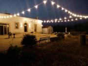 Top Mottola Top Mottola