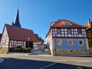 Top Geisfeld