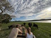 Sigiri Shen Residence