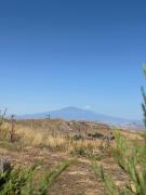 Top Piazza Armerina Top Piazza Armerina