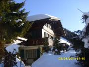 Top Adelboden