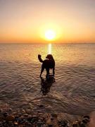 CasaVacanze Nichi vista mare