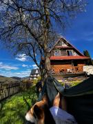 Top Zawoja Top Zawoja