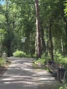 Top Bobolin Top Bobolin