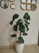 Moderne appartement centre Marrakech