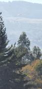 Top Sacaba
