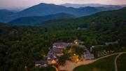 Top Wintergreen