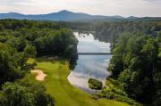 Top Wintergreen