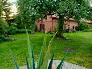 Top Mierzejewo Top Mierzejewo