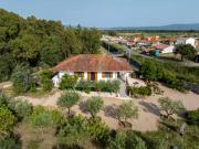 Top Siamaggiore Top Siamaggiore