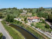 Top Siamaggiore Top Siamaggiore