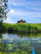 Top Ruciane-Nida Top Ruciane-Nida