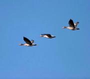 Top Port de Pollensa