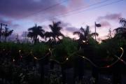 Top Tagaytay Top Tagaytay