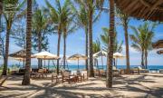 Top Hoi An
