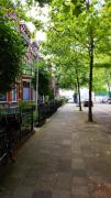 Top Zwolle