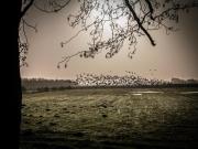 Top Südbrookmerland