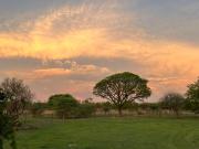 Top Cullinan