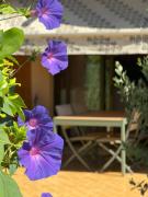 Top Villeneuve-Loubet