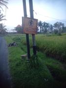 Top Tampaksiring