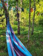 Top Jerutki Top Jerutki