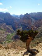 Taghia Accommodation