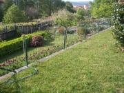 Top Marín Top Marín