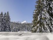 Apartment Larice by Interhome