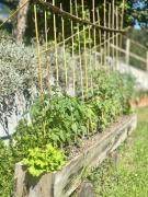 Casa da nascente douro