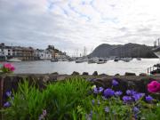 2 bed in Ilfracombe 49673