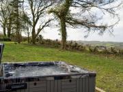 4 Bed in Llandysul 66640