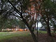 Top Styków Top Styków