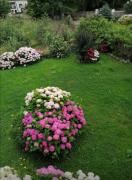 Top Villanueva de Pría