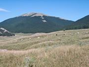 Top Roggiano Gravina