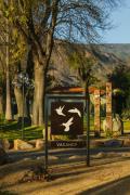 Top Ojai
