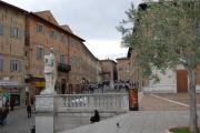 Top Urbino