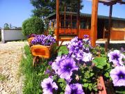 Top Obzor