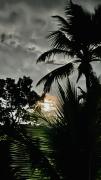 Top Trivandrum