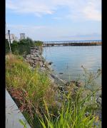 Top Mamaia