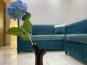 Studio with high privacy and luxurious furnishings