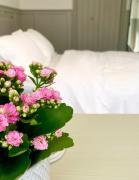 Top Exeter Top Exeter