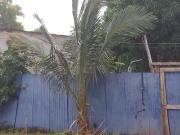 Top Béning-lès-Saint-Avold