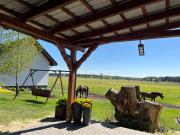 Agroturystyka Dom Skowronek