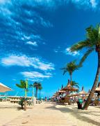 Nik and dom Alezzi studio