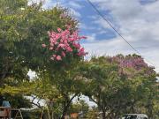 Top Belmopan Top Belmopan