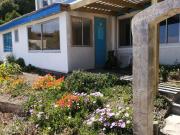 Top Curanipe Top Curanipe